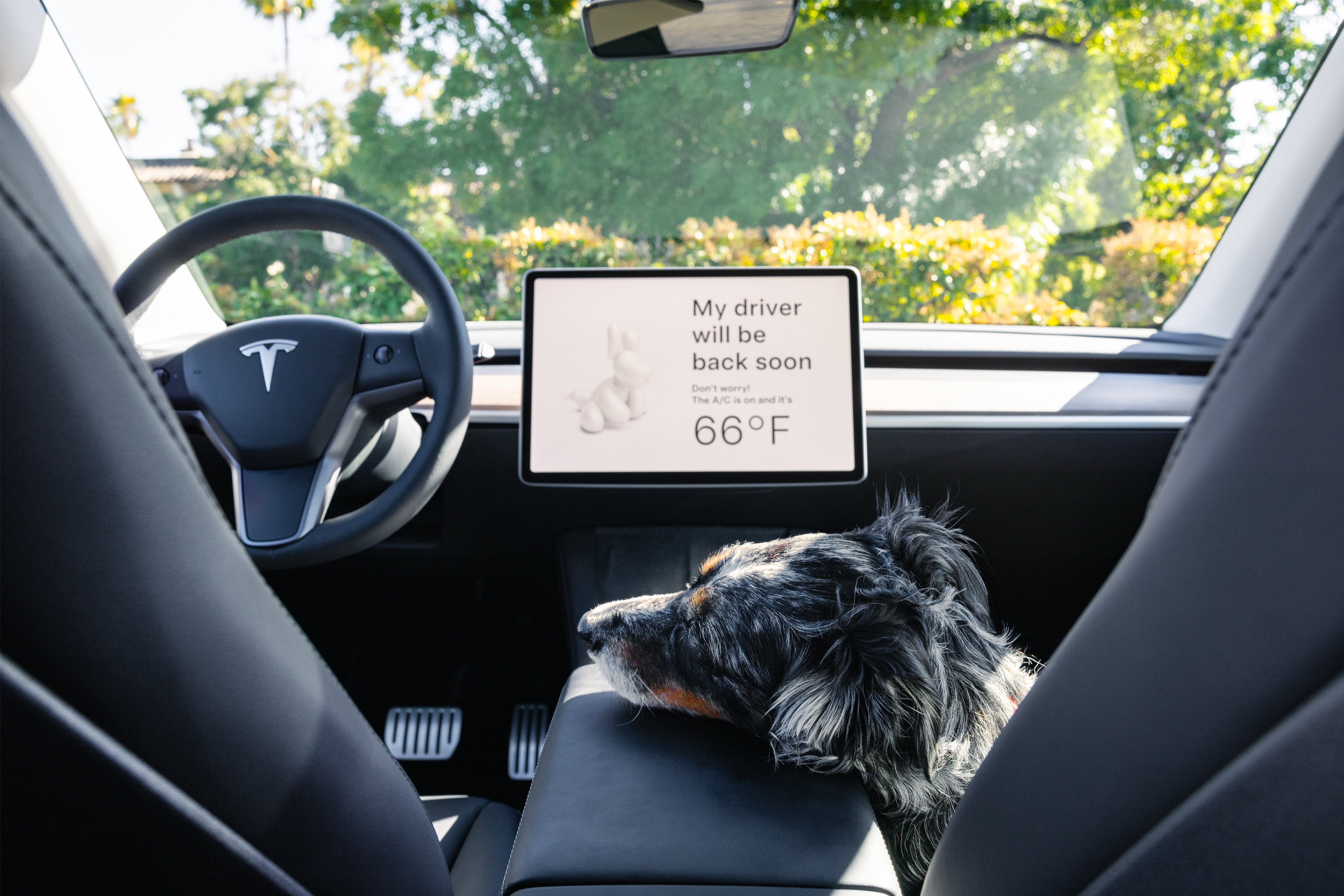 Top 10 Hidden Features in Your Tesla (That You Probably Didn’t Know About)