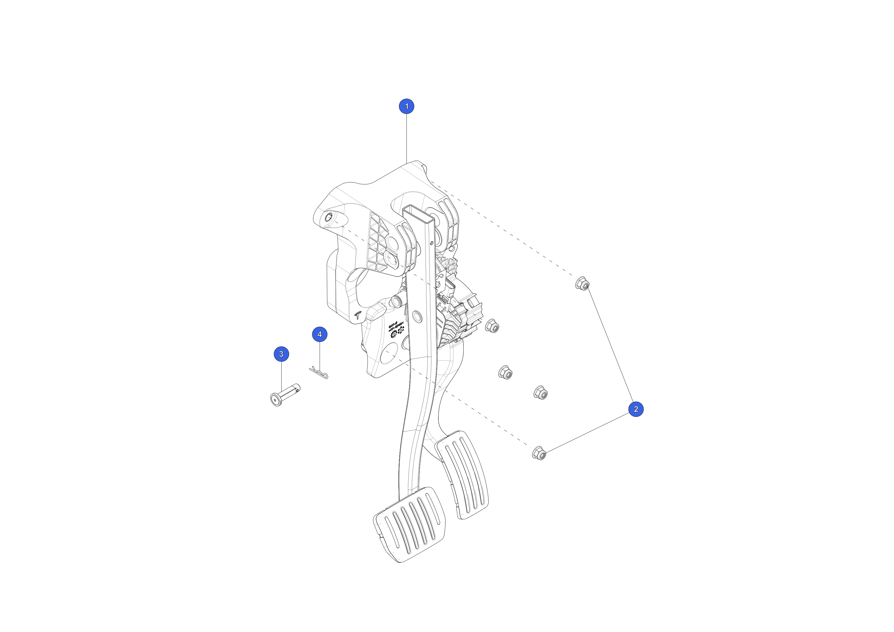 NUT,HF,M8-1.25,[10],ZNNI,PTP – 1111541-00-A